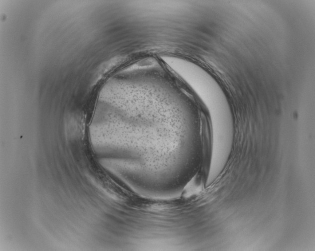 X0000088890168200706291448