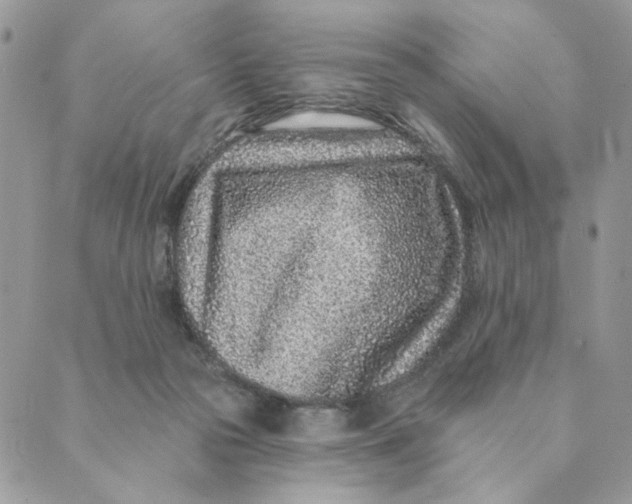 X0000088890169200706291448