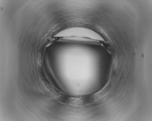 X0000088890170200706291448