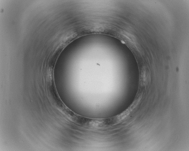 X0000088890172200706291449