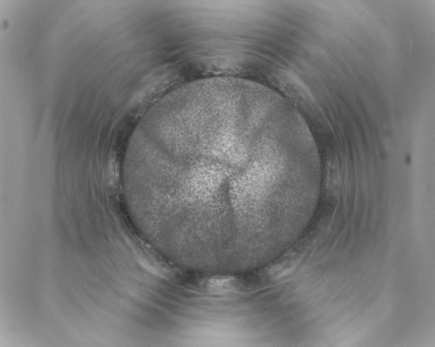 X0000088890173200706291449