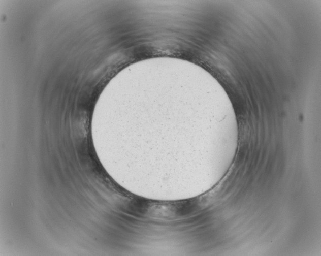 X0000088890174200706291449