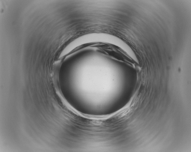 X0000088890176200706291449