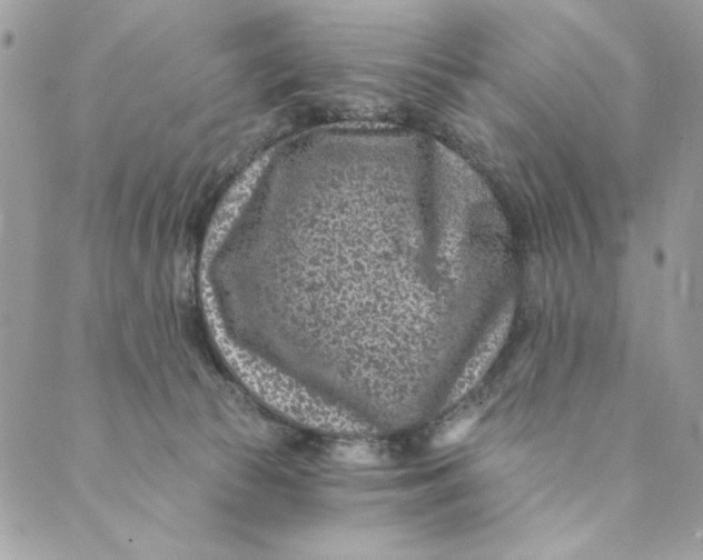 X0000088890177200706291449