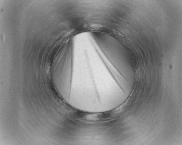 X0000088890178200706291449