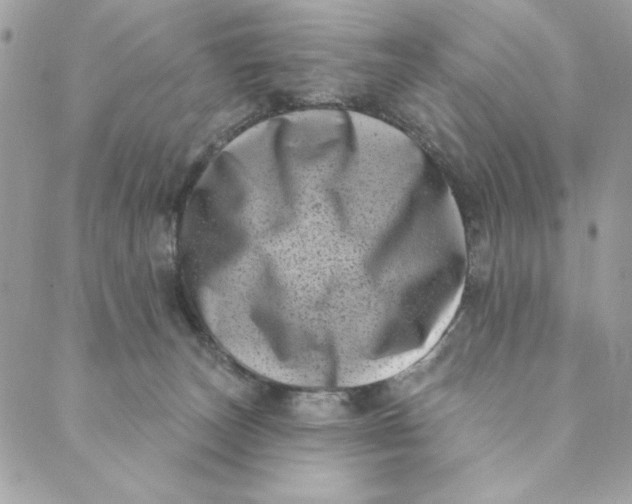 X0000088890179200706291449