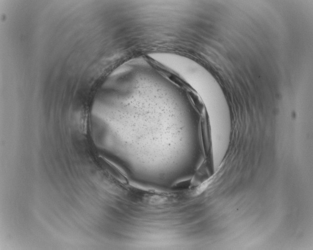 X0000088890180200706291449