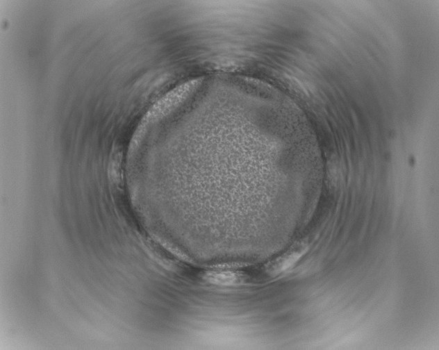 X0000088890181200706291449