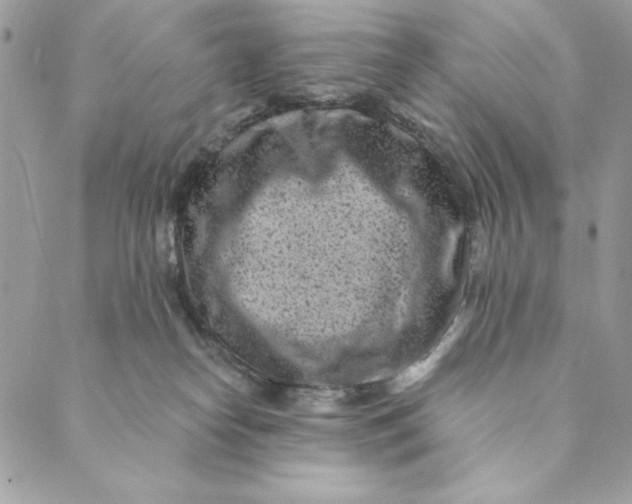 X0000088890182200706291449