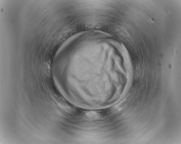 X0000088890183200706291449