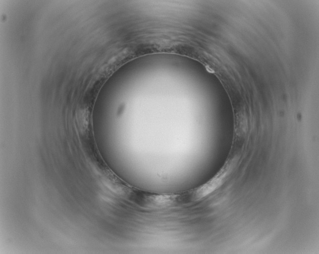 X0000088890184200706291449