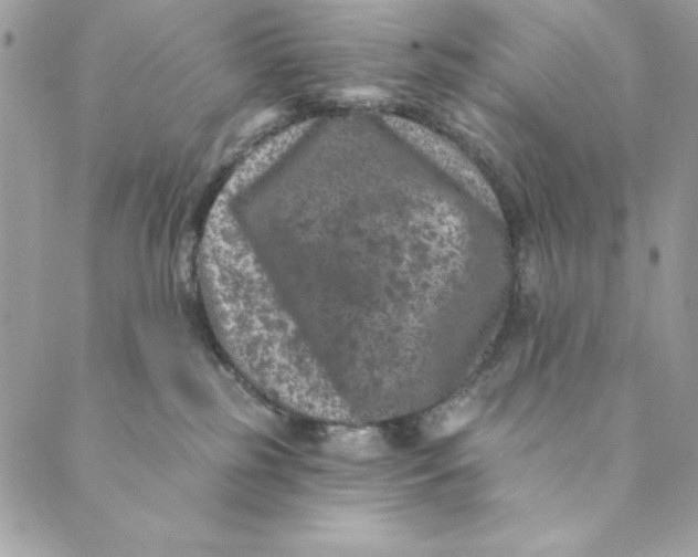 X0000088890185200706291449