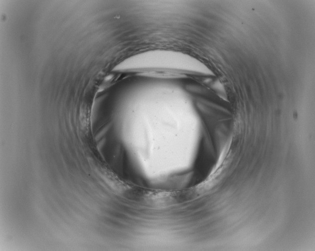 X0000088890186200706291449