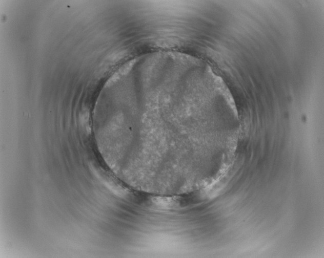 X0000088890187200706291449