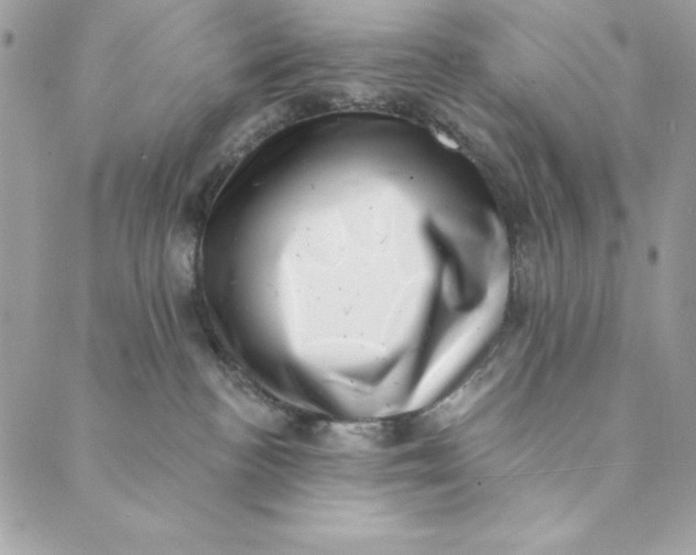 X0000088890188200706291449