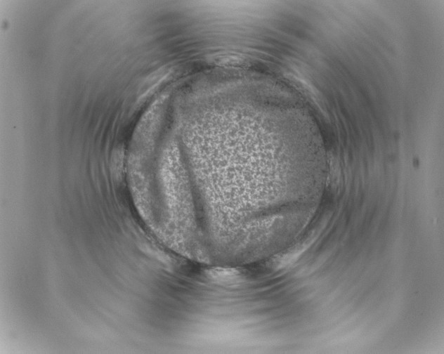 X0000088890189200706291449