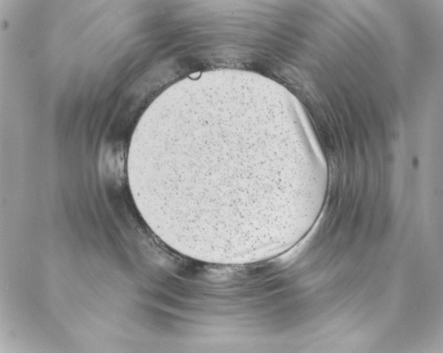 X0000088890190200706291449