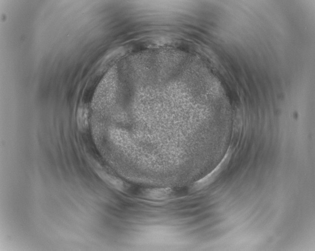 X0000088890191200706291449