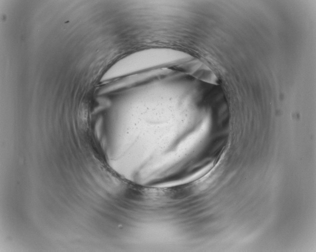 X0000088890192200706291449