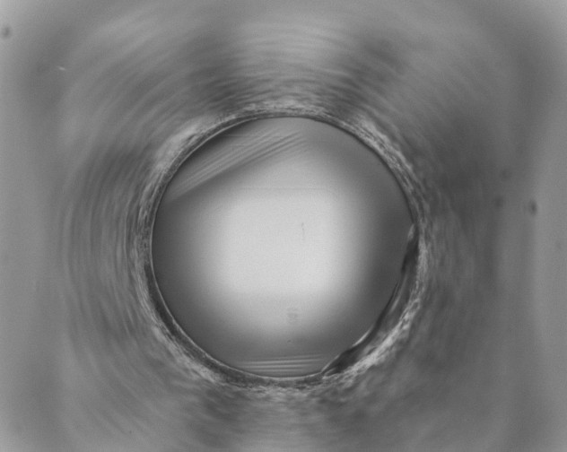 X0000088890193200706291448