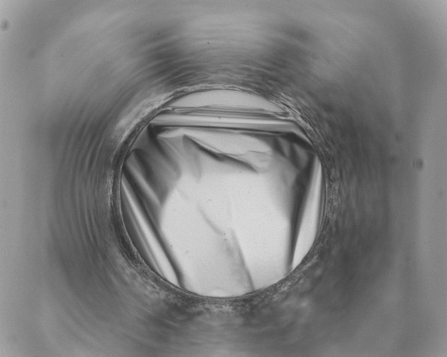 X0000088890194200706291448