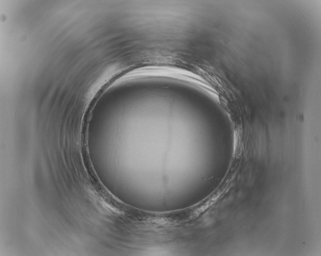 X0000088890195200706291448