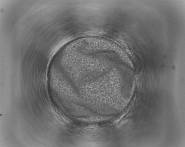 X0000088890196200706291448