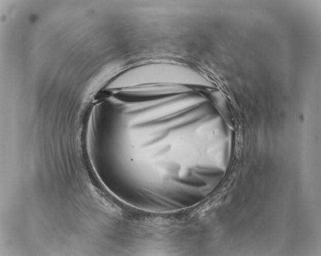 X0000088890197200706291448