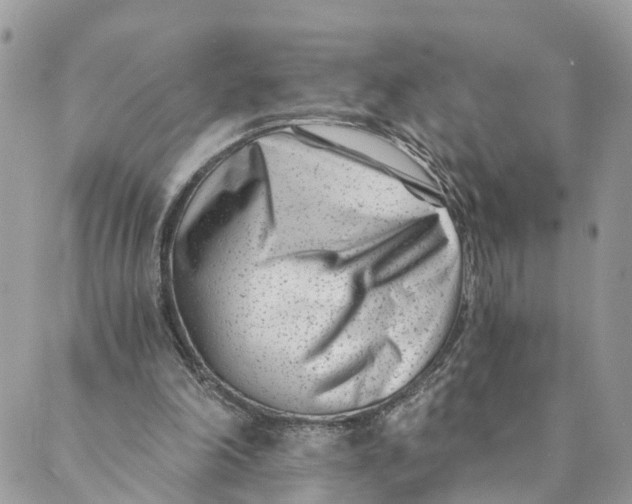 X0000088890198200706291448