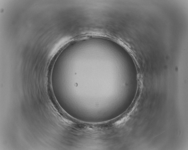 X0000088890199200706291448