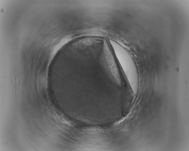 X0000088890200200706291448