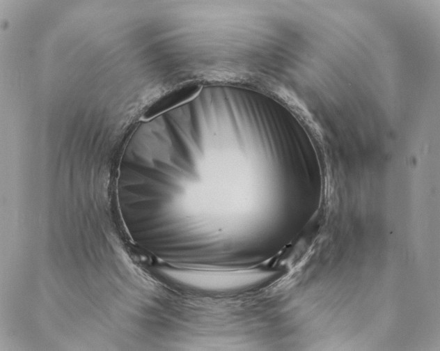 X0000088890201200706291448