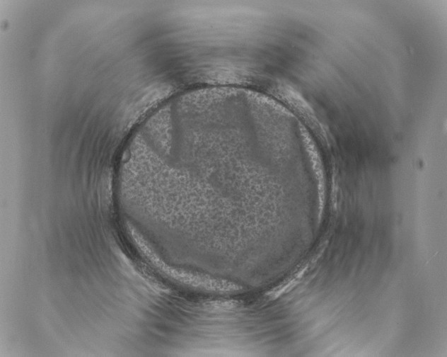 X0000088890202200706291448