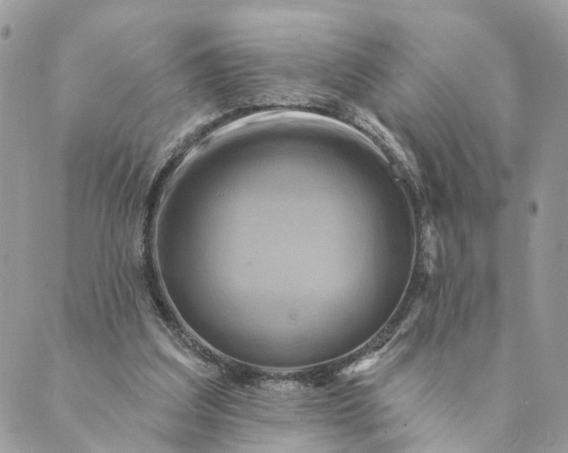 X0000088890203200706291448