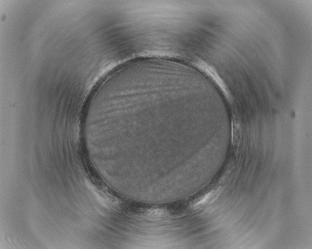 X0000088890204200706291448