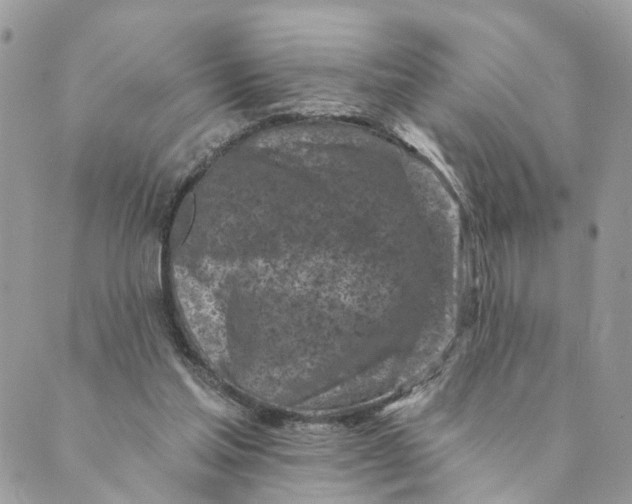 X0000088890205200706291448