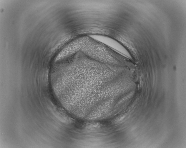 X0000088890206200706291448