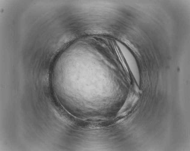 X0000088890207200706291448