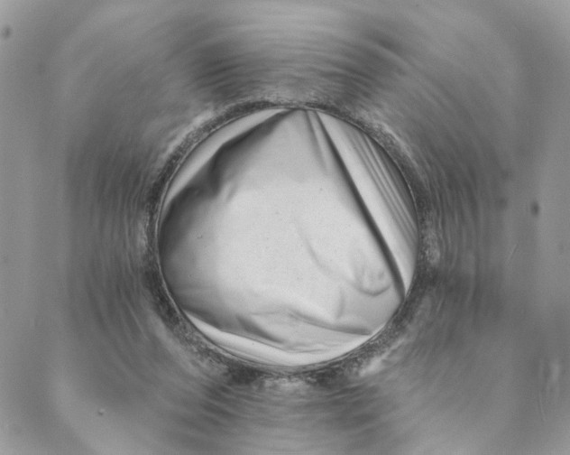 X0000088890208200706291448