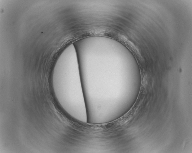 X0000088890209200706291448