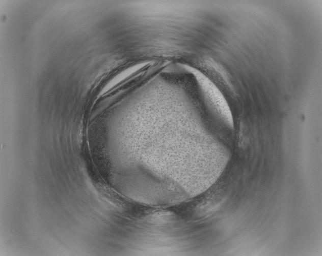 X0000088890210200706291448