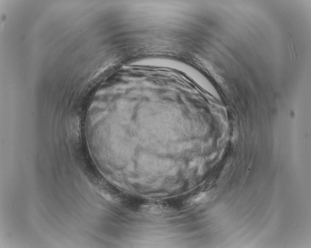 X0000088890211200706291448