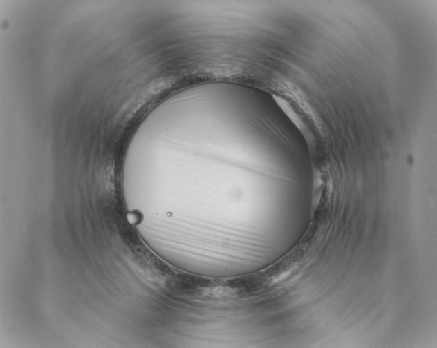 X0000088890212200706291448