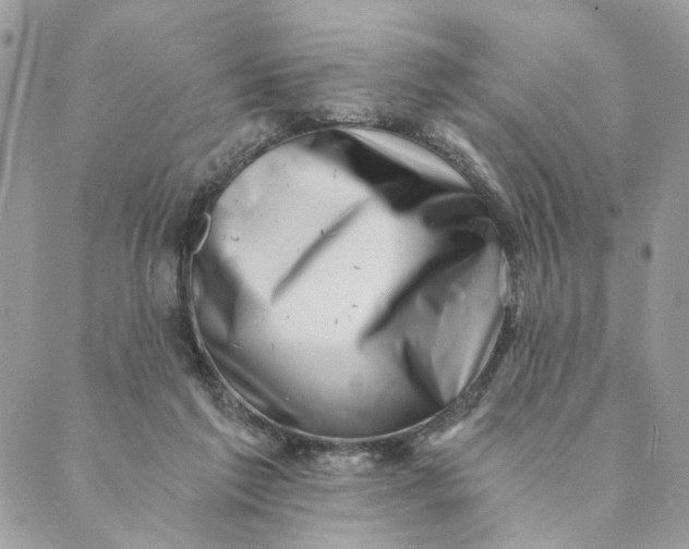 X0000088890213200706291448