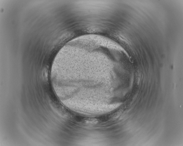 X0000088890214200706291448