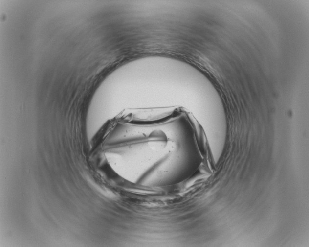 X0000088890215200706291448