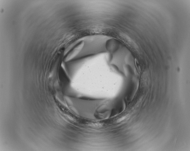 X0000088890217200706291448