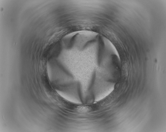 X0000088890218200706291448