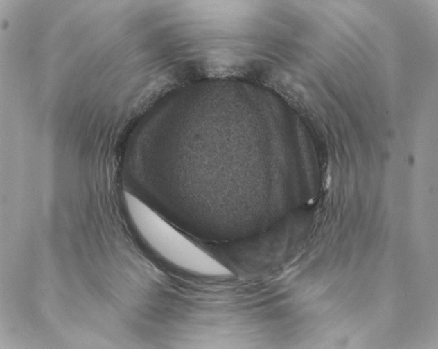 X0000088890219200706291448