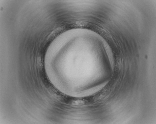 X0000088890220200706291448